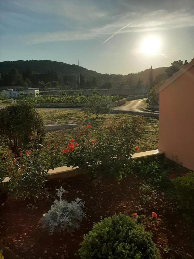 Apartment "Manna Zrnovo المظهر الخارجي الصورة